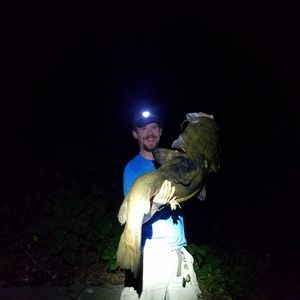 Meet your Posher, Dave